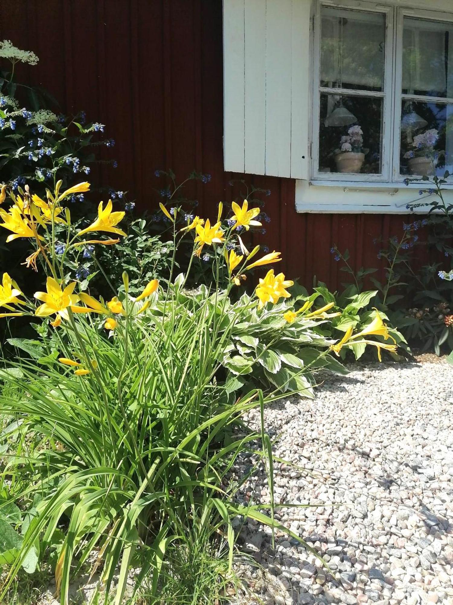 Rustik Stuga Med Lantlig Kaensla Naera Oerebro City Örebro Exterior foto